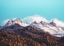 九游体育入口-萨尔布吕肯乒乓球俱乐部:樊振东将在本赛季结束后离开球队